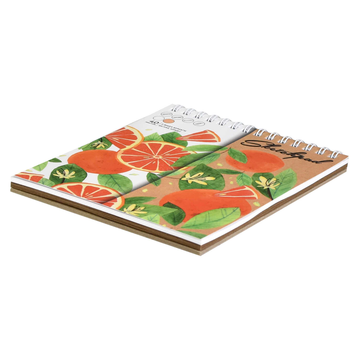 Скетчбук Феникс + - фото 2