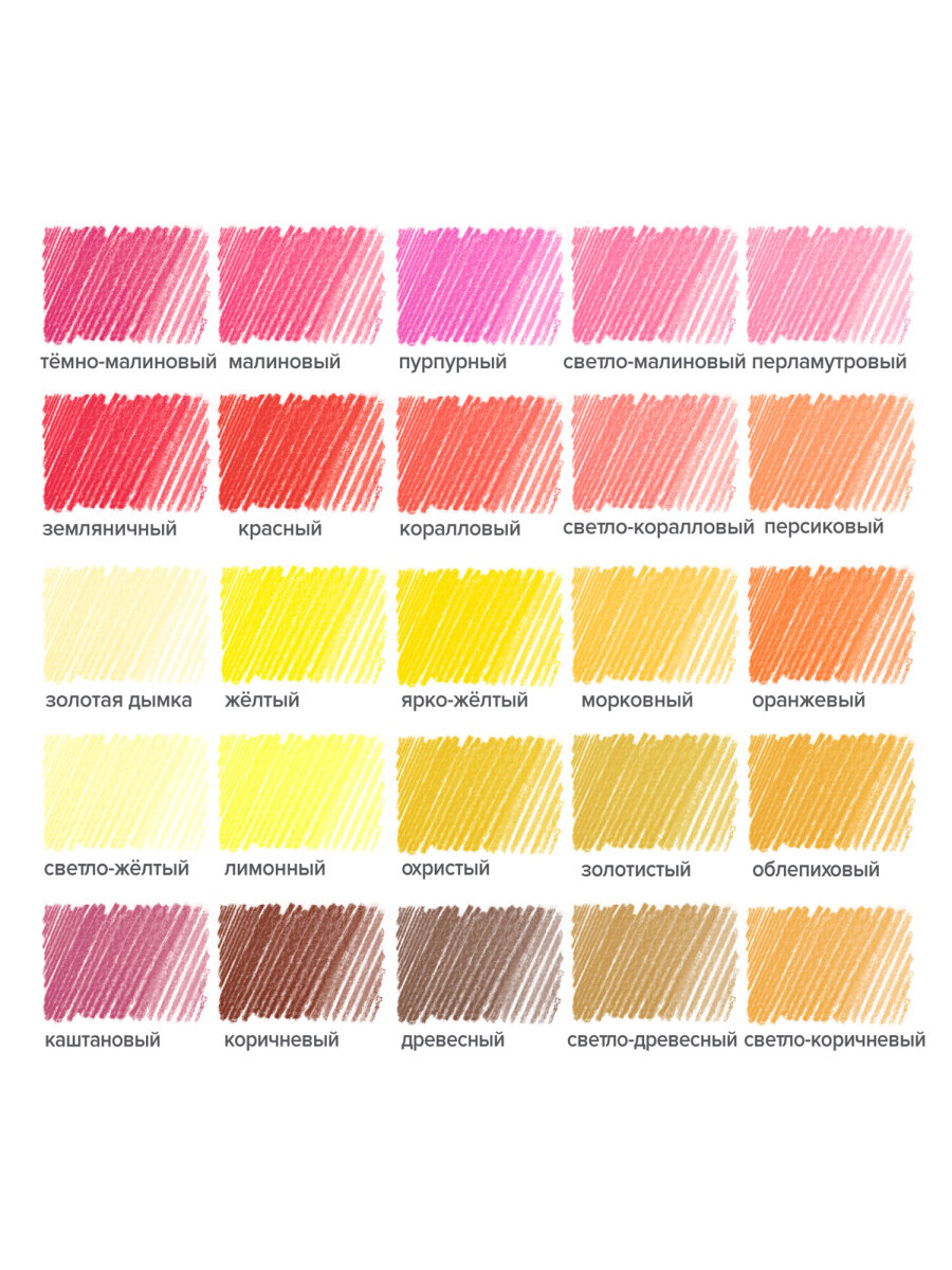 Карандаши цветные Brauberg 50 шт. - фото 15