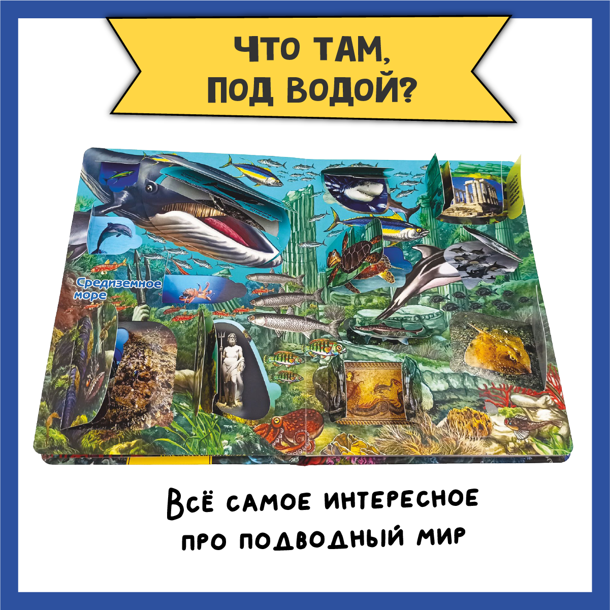 Детские книги с окошками БимБиМон Набор энциклопедий про тело человека и водный мир - фото 4
