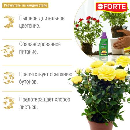 Жидкое удобрение Bona Forte Здоровье Для роз и хризантем 285 мл