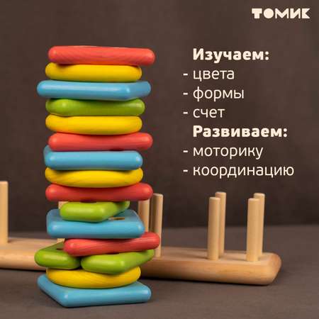 Игрушка Томик сортер