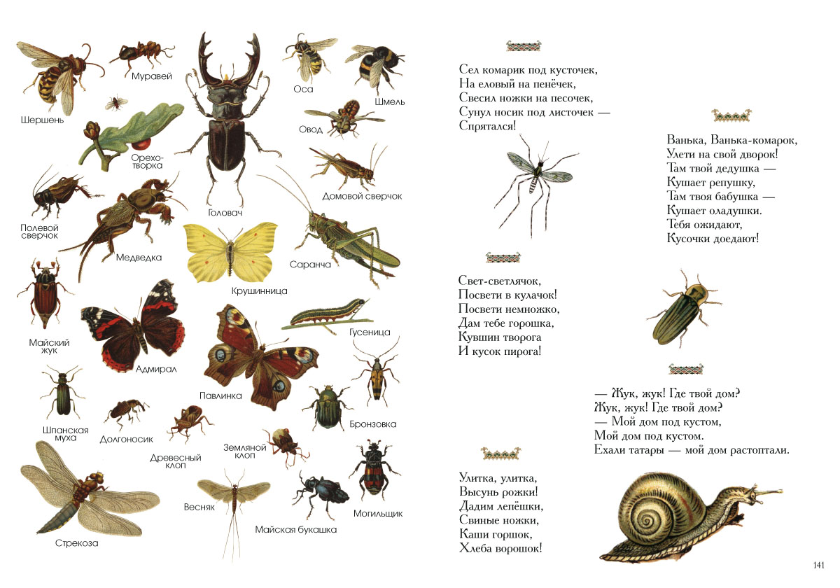 Книга Белый город Ладушки. Энциклопедия детского фольклора - фото 10