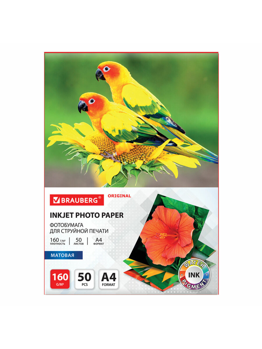 Фотобумага Brauberg матовая для печати фото 50 листов А4 - фото 7