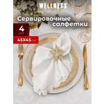 Набор из 4 сервировочных салфеток Wellness Лувр 01
