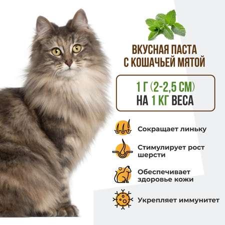 Витамины для кошек Unitabs Biotin Plus с Q10 паста 120мл