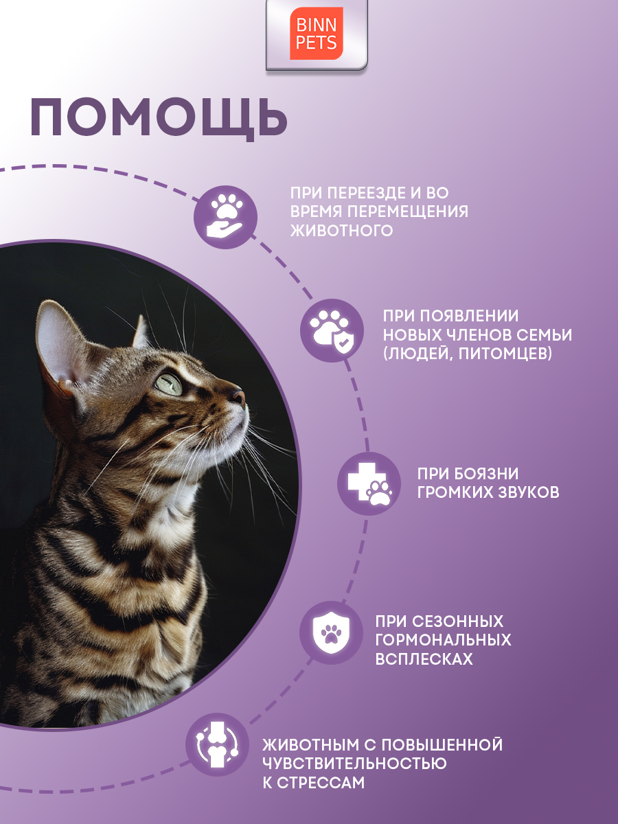 Морской коллаген PETS BIN Поддержка экстремум 70 г пакет - фото 5