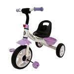 Трехколесный велосипед Velobibi