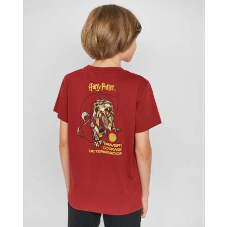 Футболка Harry Potter