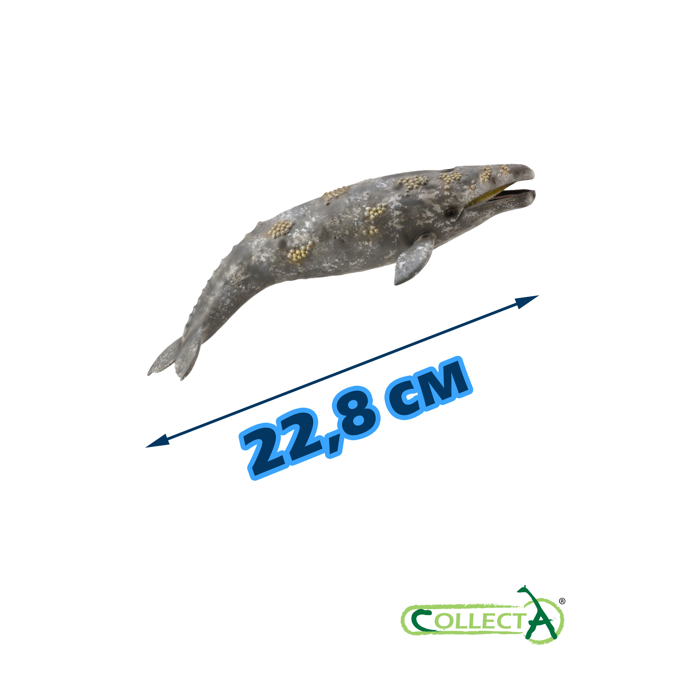Фигурка Collecta Серый кит - фото 2