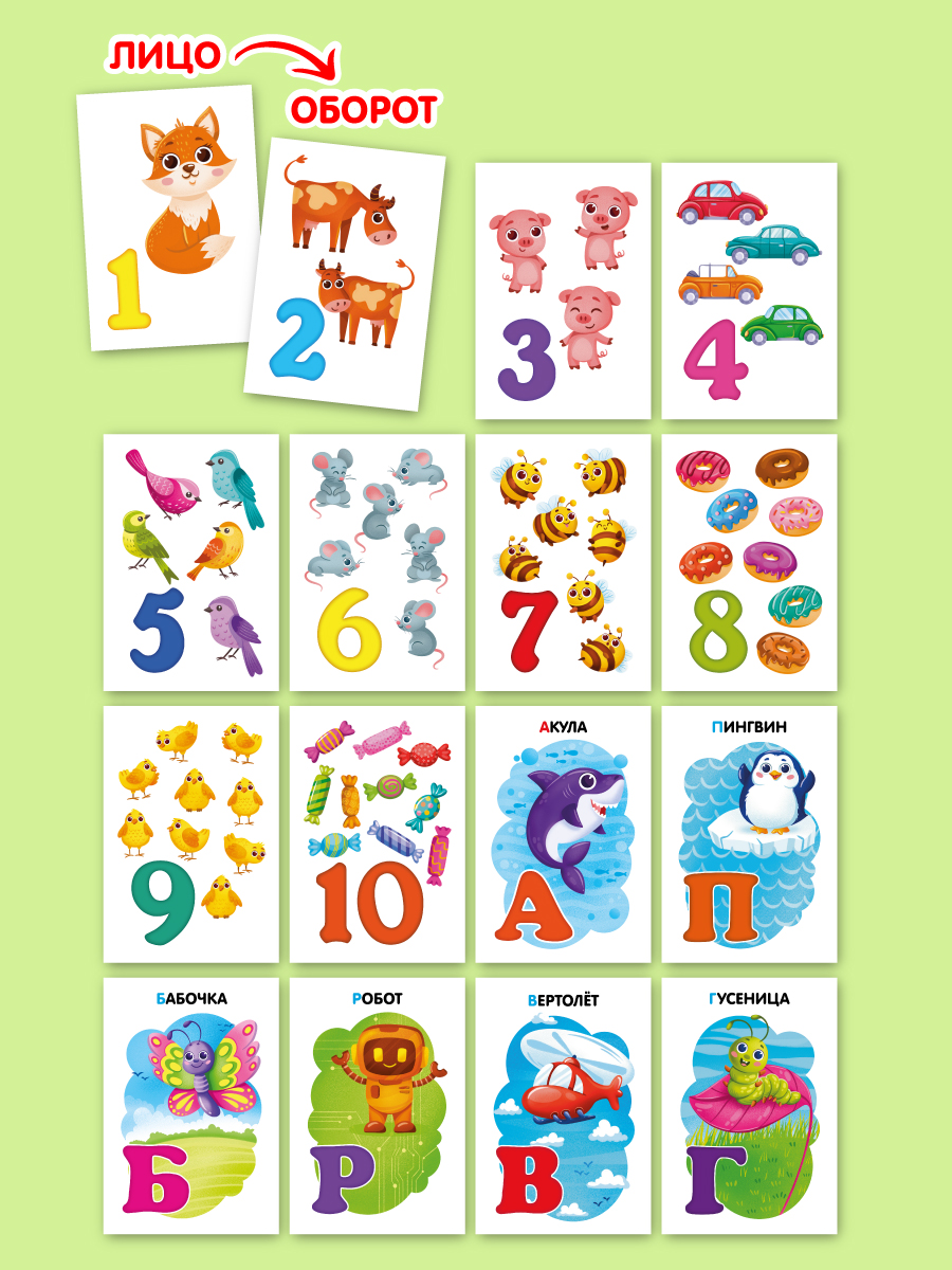 Карточки развивающие Проф-Пресс 3 упаковки 12х18 см. 57 шт. Буквы и цифры+динозавры+одежда и обувь - фото 6