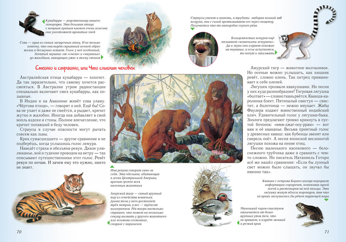 Книга Белый город Занимательная биология. - 2-е изд. - фото 7