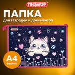 Папка для тетрадей Пифагор