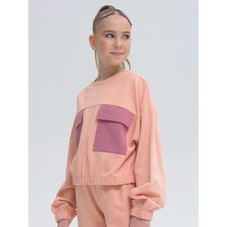 Свитшот Pelican