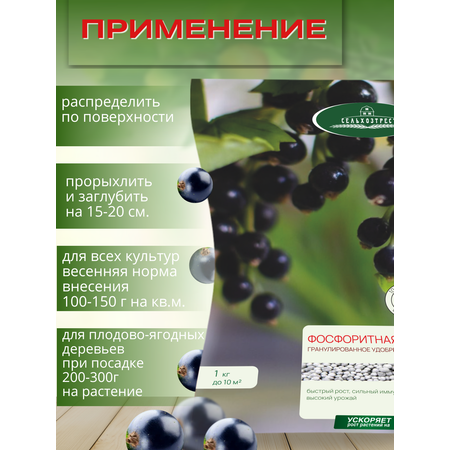 Удобрение осеннее Сельхозтрест Фосфоритная мука 1 кг