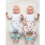 Штанишки 2 шт Совенок Дона