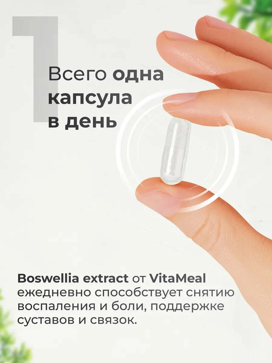Биологически активная добавка VitaMeal Босвеллия экстракт 500 мг для хрящей и суставов 90 капсул - фото 4