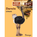 Фигурка DARWIN Птицы Страус