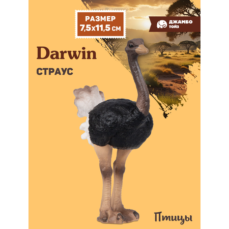 Фигурка DARWIN Птицы Страус