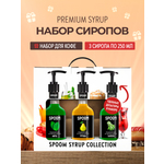 Набор сиропов SPOOM Тархун Груша Мята для коктейлей лимонадов и чая3шт 250мл + 3 дозатора