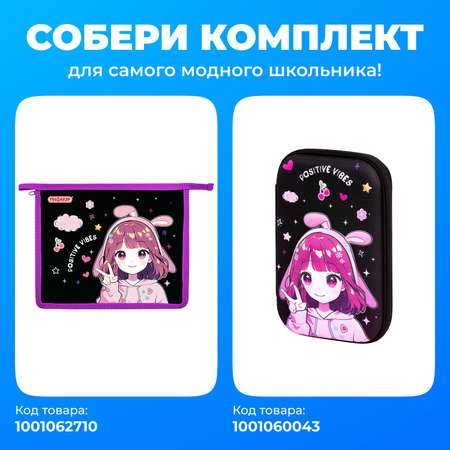 Папка для тетрадей Пифагор А5