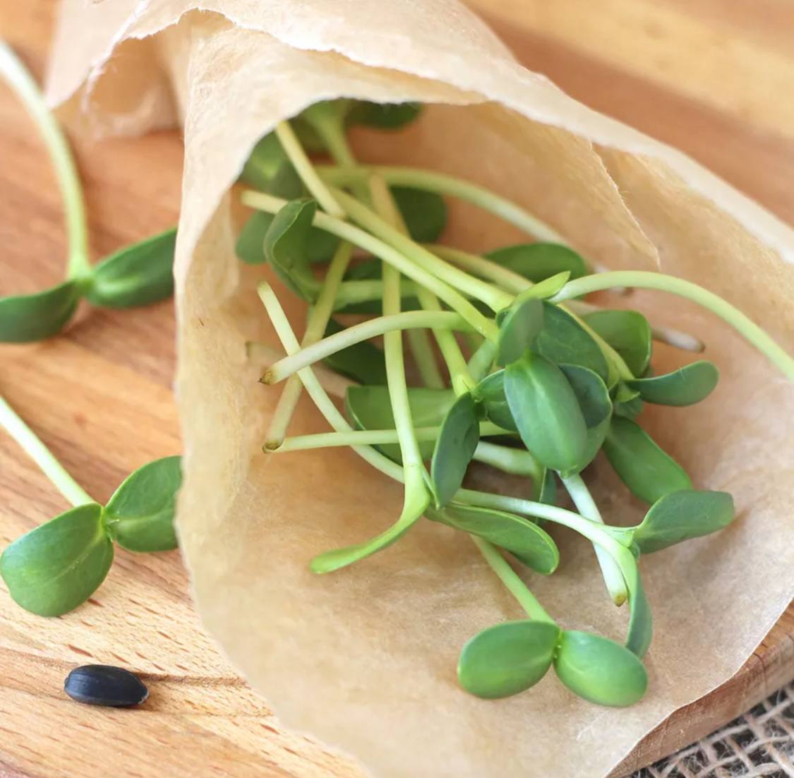 Семена для микрозелени Никольские ПроРостки подсолнечник - фото 3