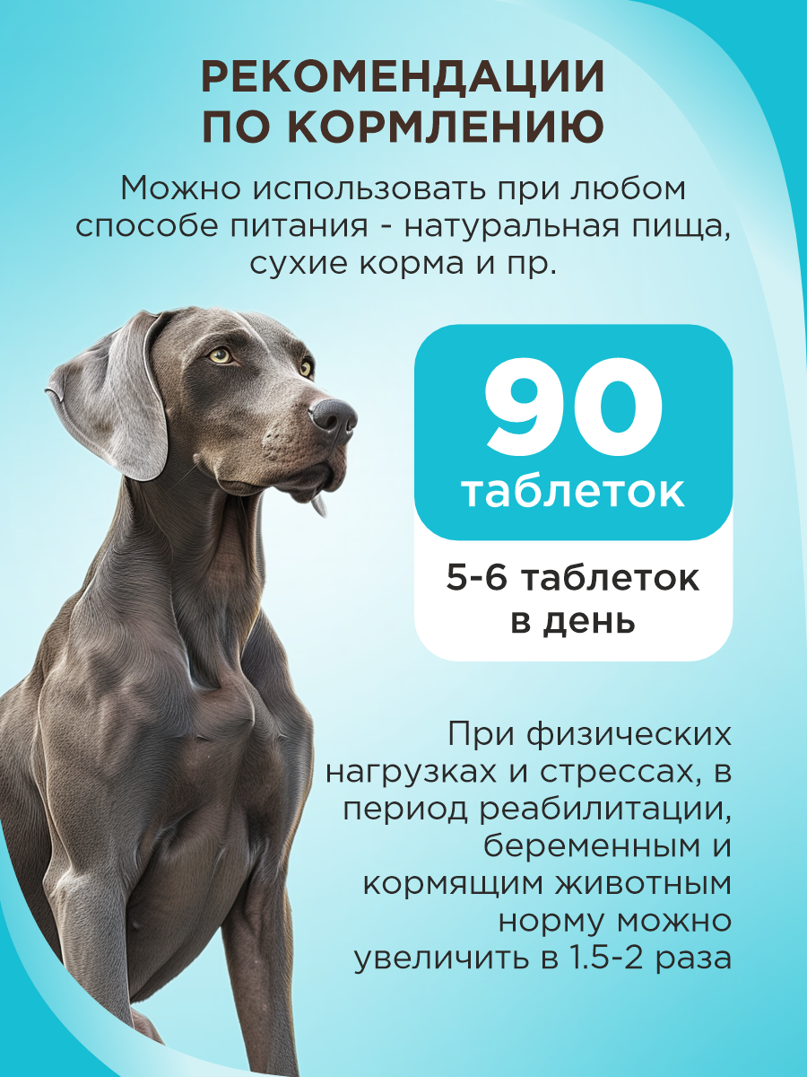 Полезное лакомство для собак GOODR DOG Крепкий иммунитет с ламинарией 90 таб. - фото 6