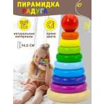 Игрушка Alatoys пирамидка Сортер 10 деталей в ассортименте