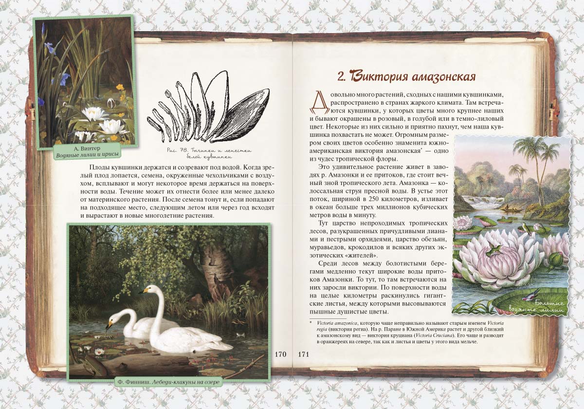 Книга Белый город Занимательная ботаника - фото 7