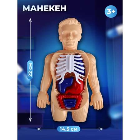 Игрушка AMORE BELLO Доктор (инструменты)