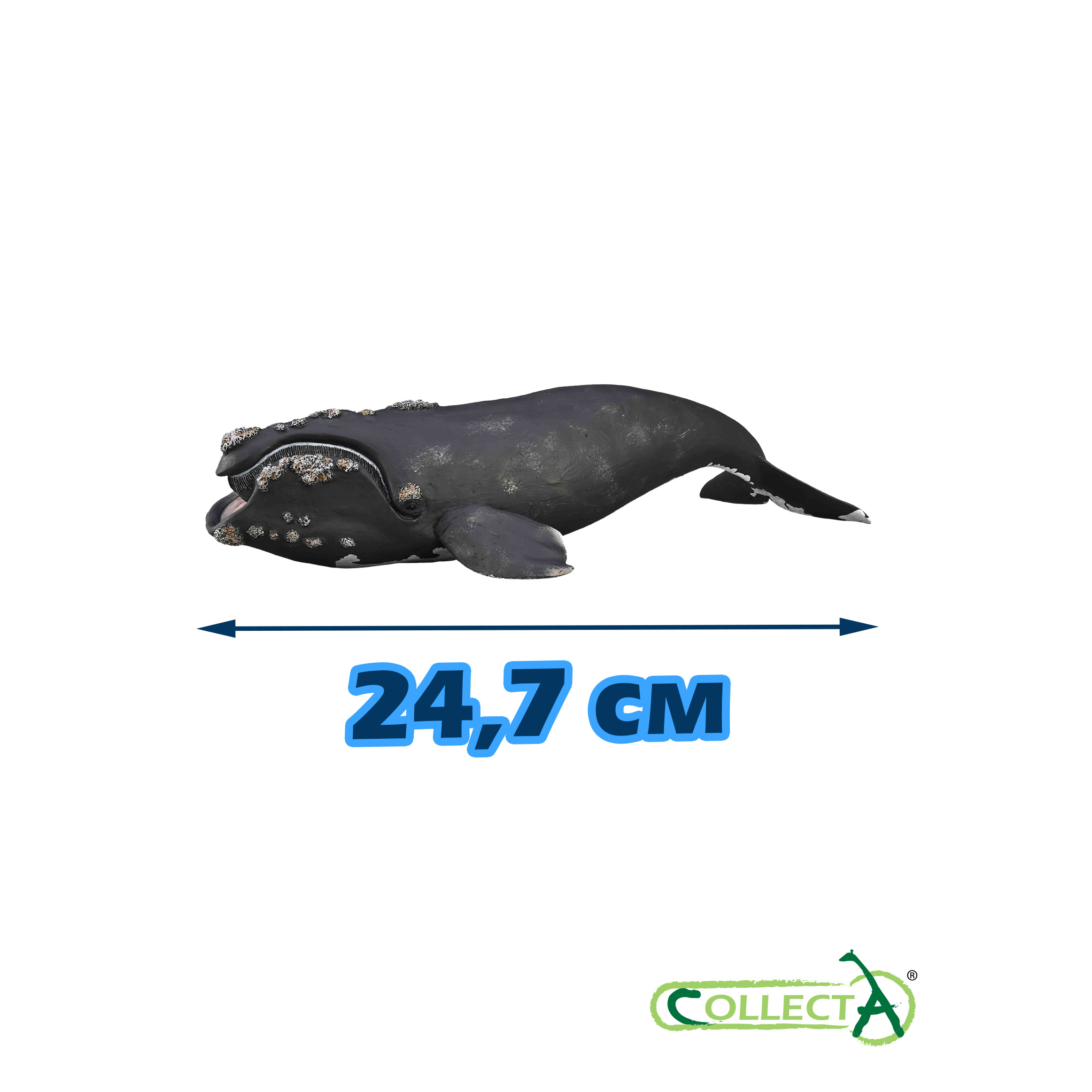 Фигурка Collecta Южный кит - фото 2