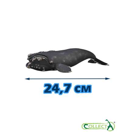 Фигурка Collecta Южный кит