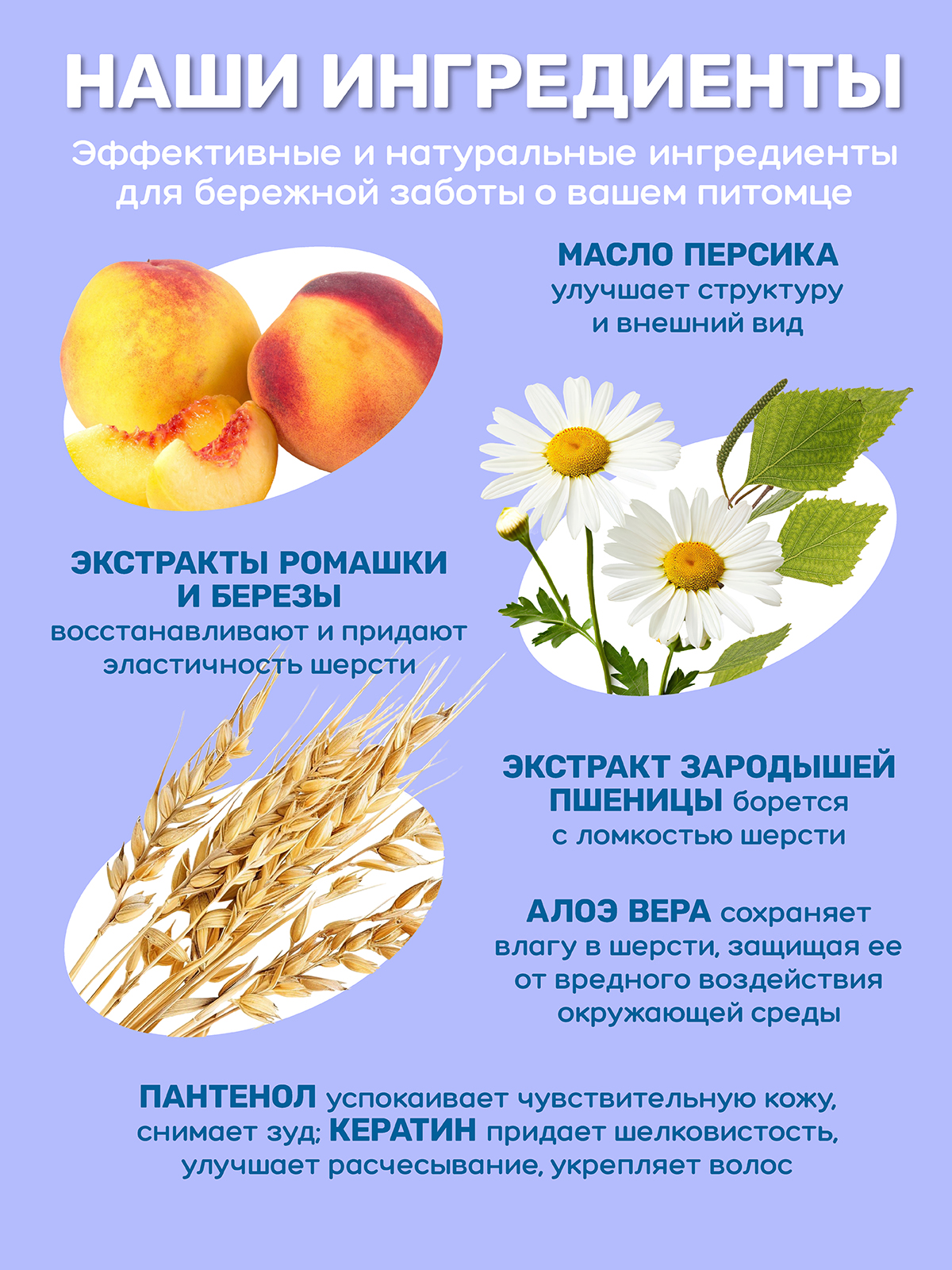 Шампунь для длинной шерсти ZOORIK увлажняющий 1000 мл - фото 7