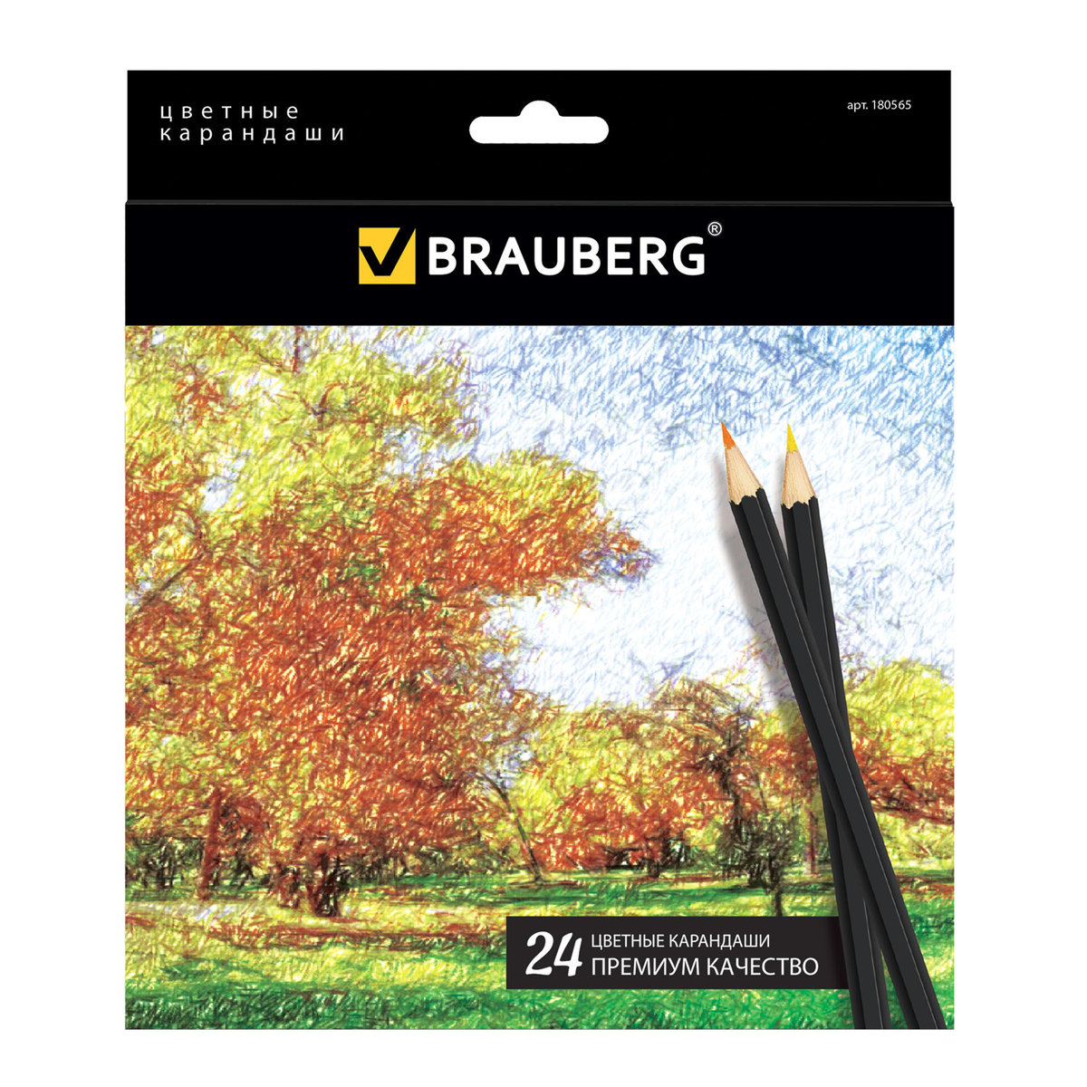 Карандаши цветные Brauberg 24 шт. - фото 1