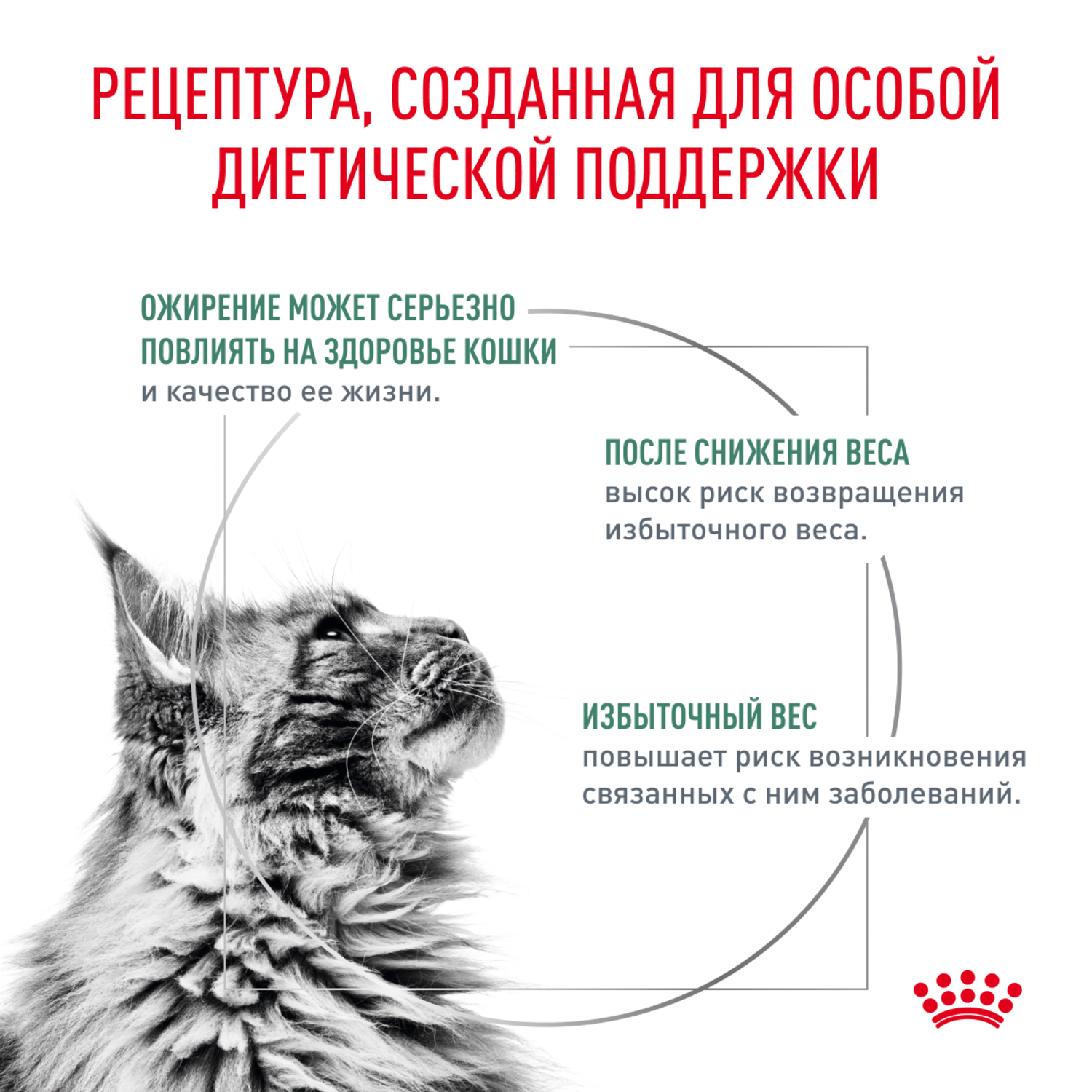 Корм для кошек ROYAL CANIN Satiety Weight Management для снижения веса сухой 350г - фото 2