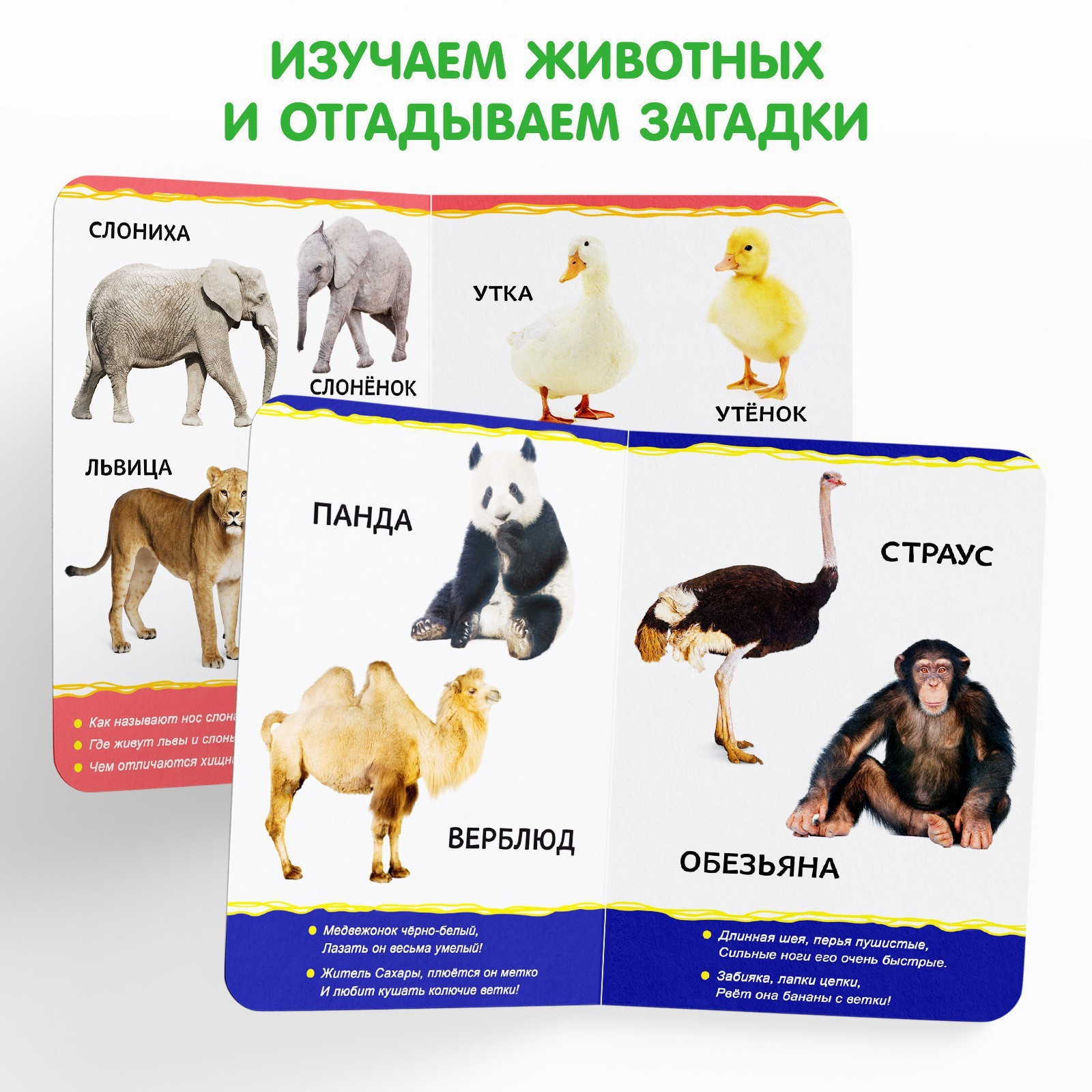 Набор Буква-ленд картонных книг Для малышей №1 4 шт 10 стр - фото 5