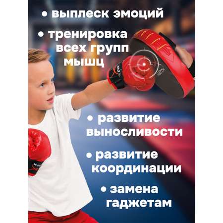Набор для бокса X-Match перчатки 2 шт и лапа