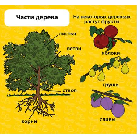 Настольная игра BrainBox