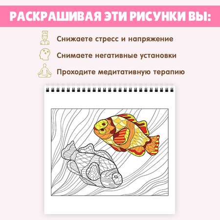 Раскраска Проф-Пресс антистресс на гребне набор из 2 шт 21.5х20 см. Арт-терапия Красота фауны+разнообразие флоры