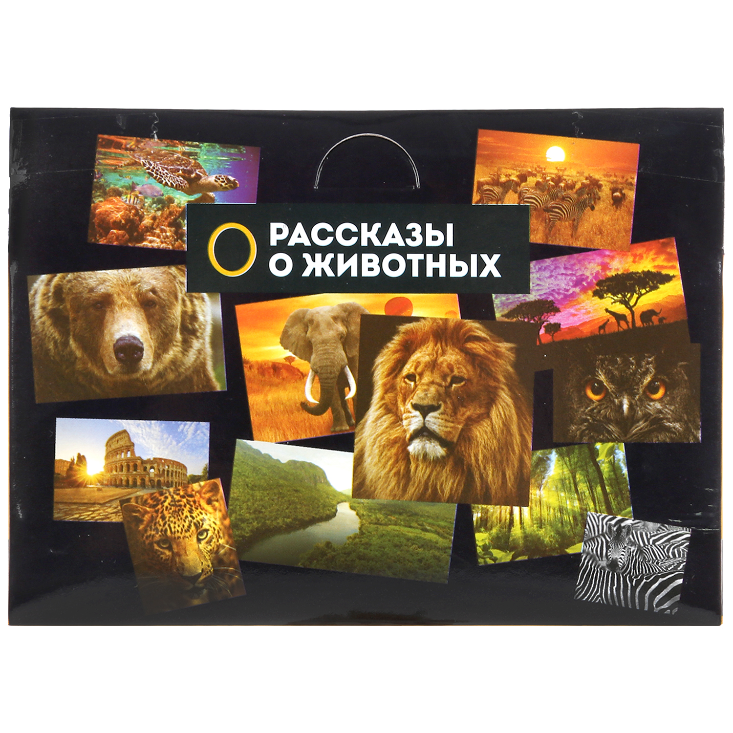 Игрушка Играем вместе Динозавр Тираннозавр - фото 6