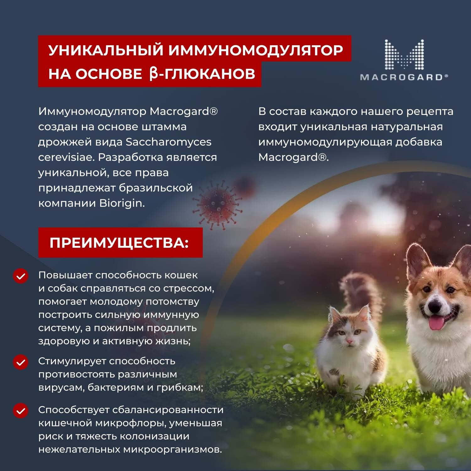 Корм для взрослых кошек Mr.Buffalo Adult Sensitive с чувствительным пищеварением с индейкой сухой 400г - фото 9