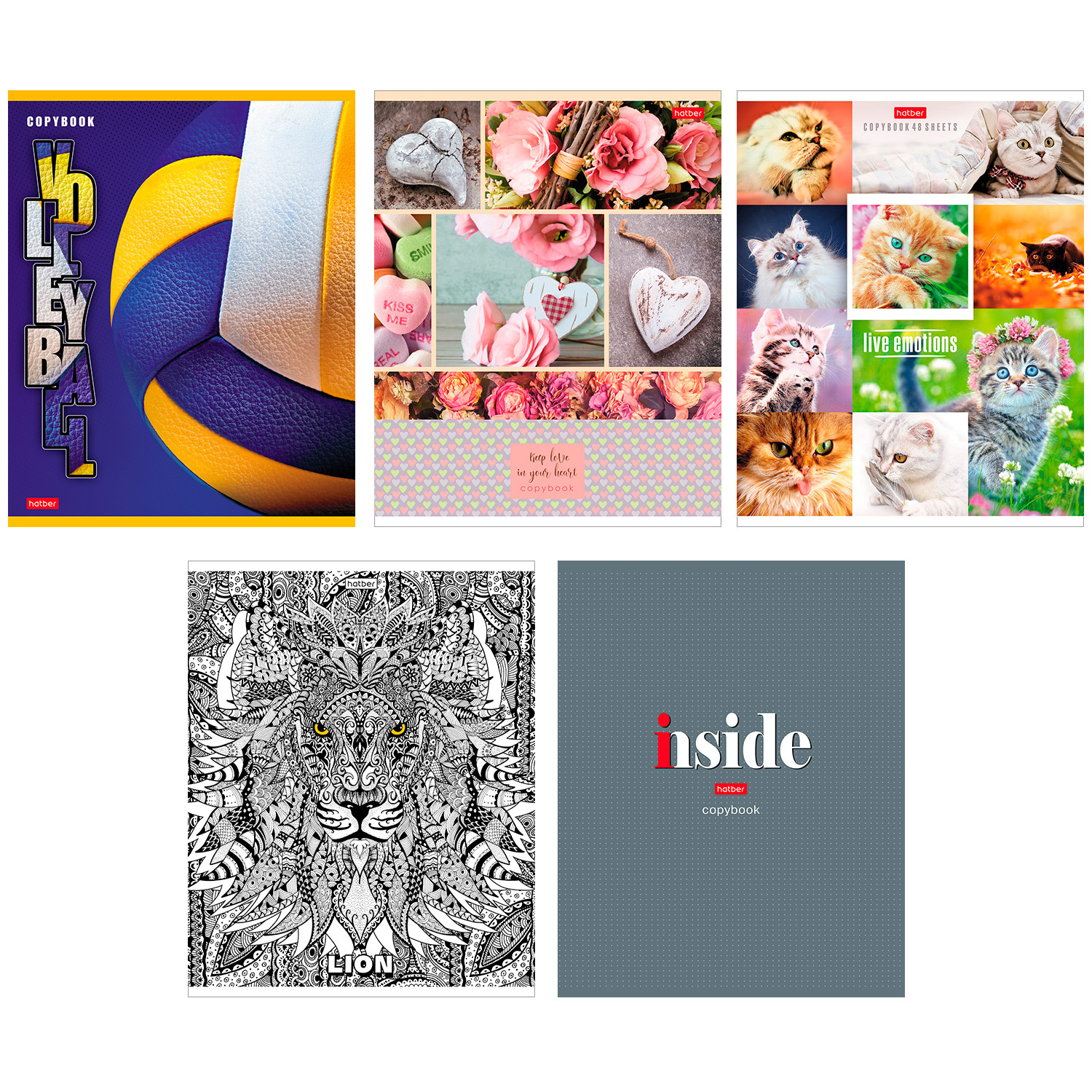 Изображение товара Общая тетрадь Hatber клетка 48 лист. в ассортименте