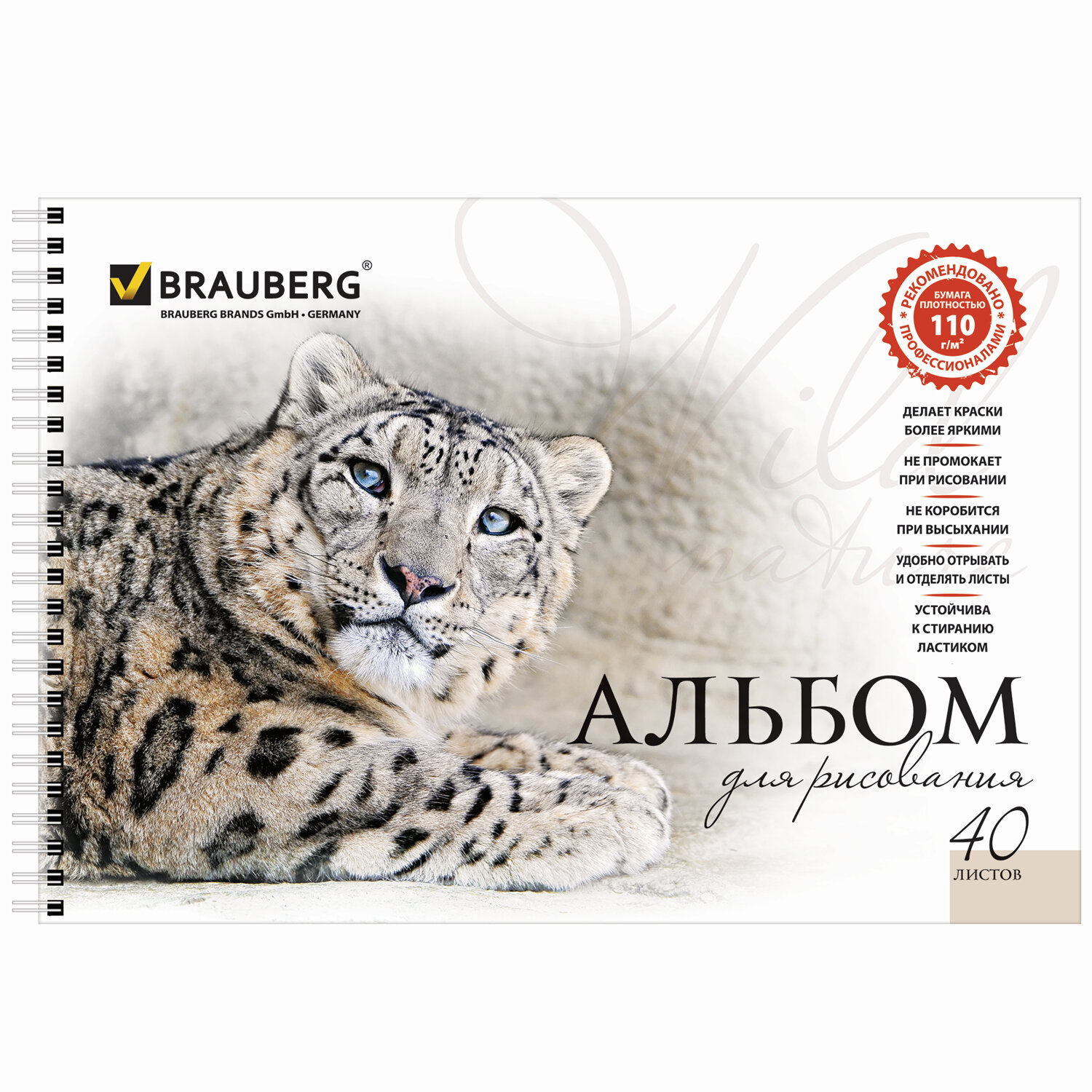 Альбом Brauberg А4 40 лист. 4 шт. - фото 7