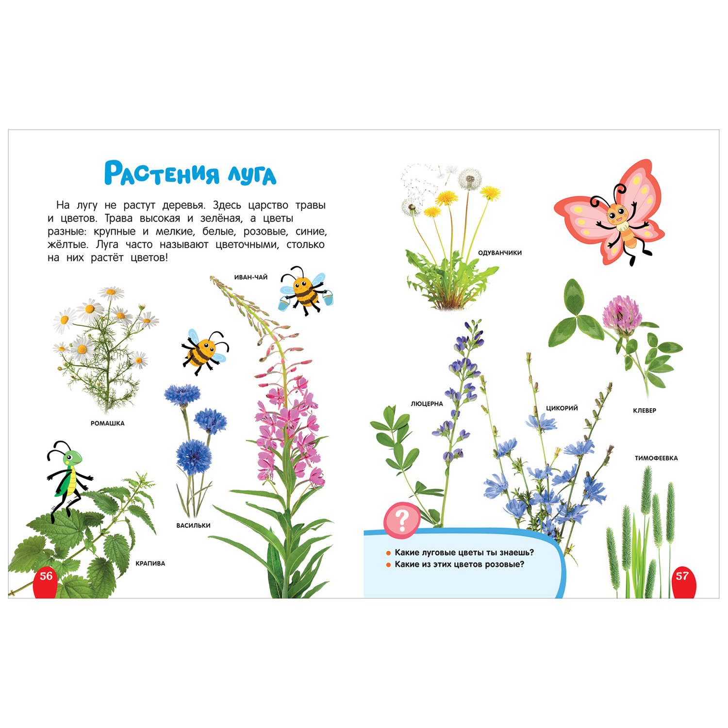 Книга Росмэн Синий трактор едет по России Моя самая первая энциклопедия - фото 4