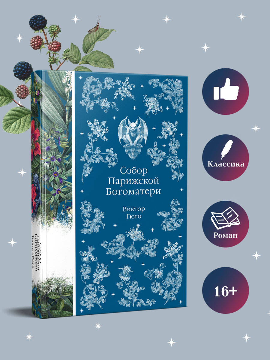 Книга Эксмо Собор Парижской Богоматери (книга # 10) - фото 2