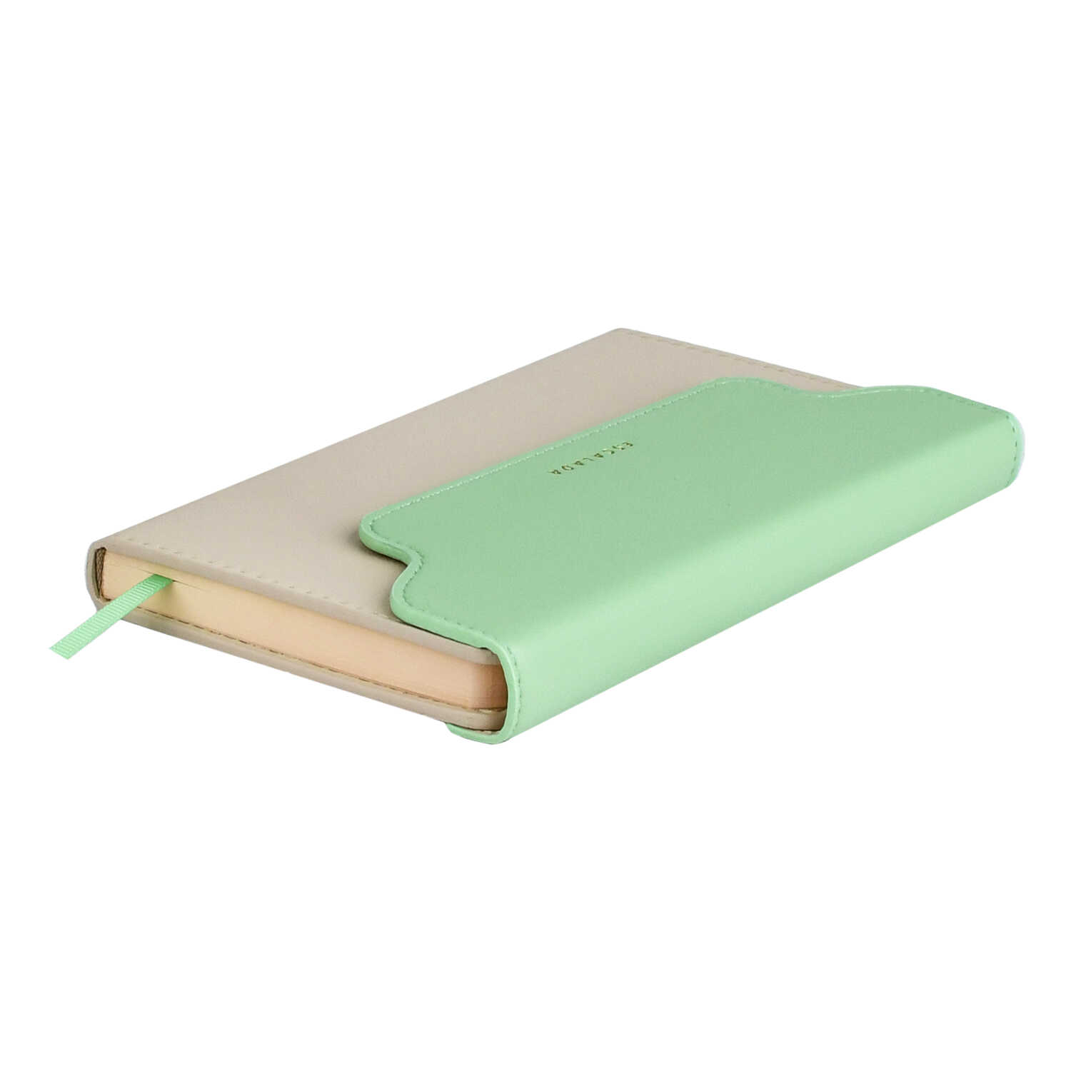 Ежедневник Феникс + ESCALADA 120 лист. - фото 2