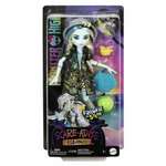 Кукла модельная Monster High Scare Adise Island Френки Штейн остров страха высота 30 см