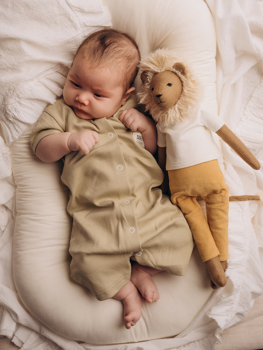 Песочник 2 шт SOFUTO WBS3290WBS4460 - фото 5