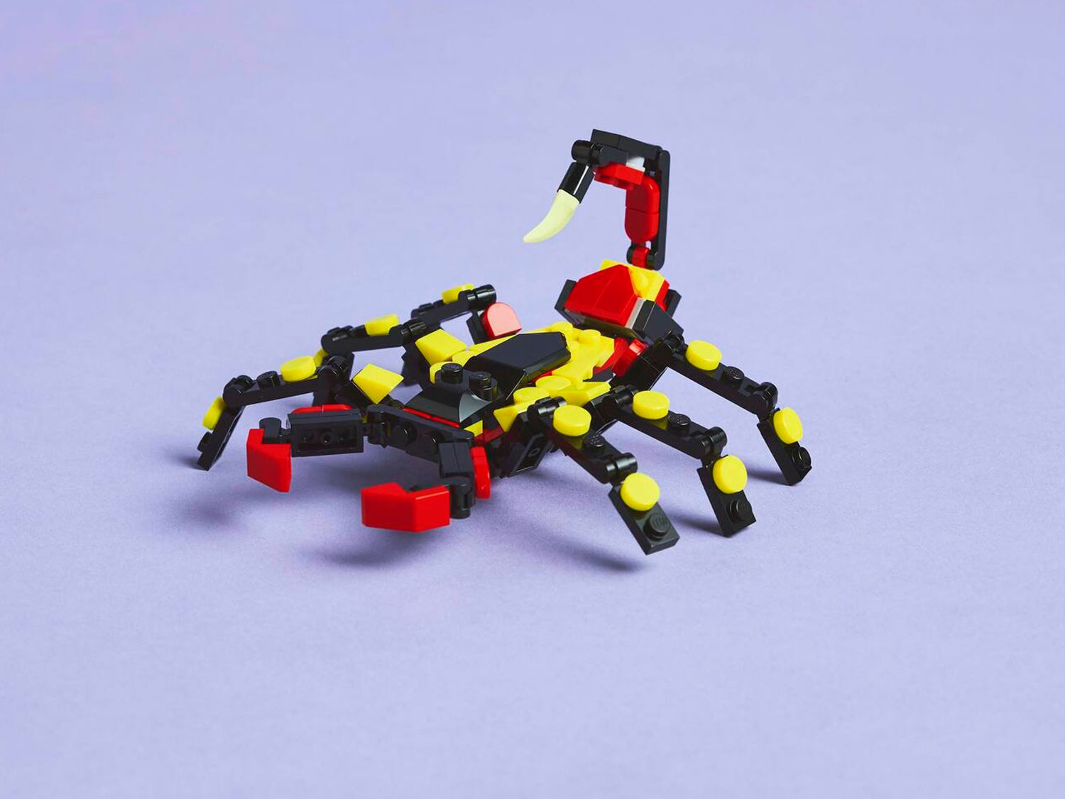 Конструктор LEGO Creator Удивительный паук 31159 153 дет. - фото 13