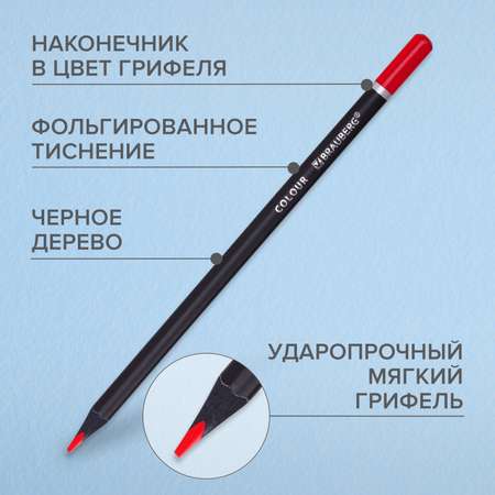 Карандаши цветные Brauberg 12 шт.