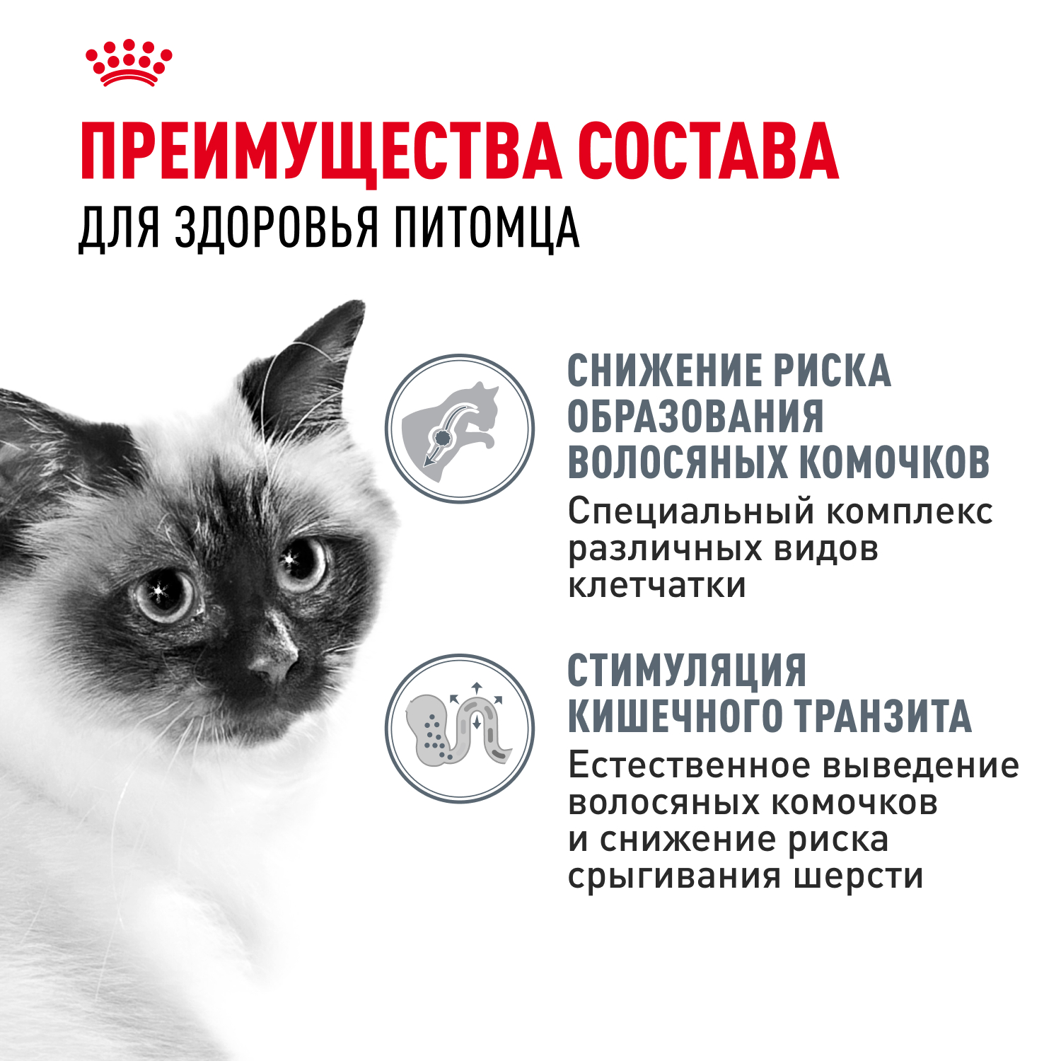 Корм для кошек ROYAL CANIN Hairball care для снижения риска образования волосяных комочков 85г - фото 4